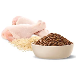 Outlet Advance - Dry ADVANCE - Adult Chicken with Rice Dry Cat Food (3kg)