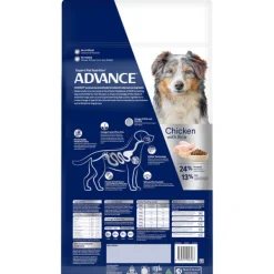 Clearance Advance - Dry ADVANCE - Healthy Ageing Medium Breed Chicken with Rice Dog Dry Food (20kg)