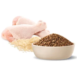 Best Advance - Dry ADVANCE - Kitten Chicken with Rice Dry Cat Food (3kg)
