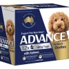 Sale Advance - Wet ADVANCE - Oodles Adult with Salmon Dog Wet Food (100g x 12pk)