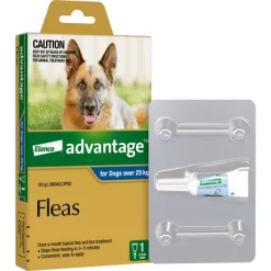 New Advantage - Flea Treatment for Dogs over 25kg (1pk)