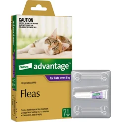 Best Advantage - Flea Treatment for Cats over 4kg (1pk)