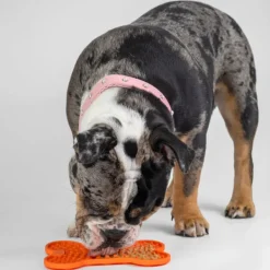Fashion Pet Pacific Misc. All for Paws - Lick Mat for Dogs (Small)