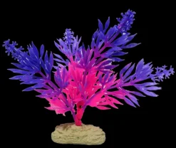 Hot Natures Best Aquamate - Betta Plants