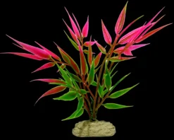 Hot Natures Best Aquamate - Betta Plants