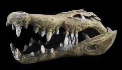 Hot Natures Best Aquamate - Ornament Skull (XLrg)