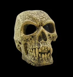 Outlet Natures Best Aquamate - Ornament Skull (Med)