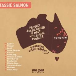 Outlet Big Dog Barf Big Dog - Tasmania Salmon for Dogs (3kg)