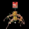 Best Pet Pacific Misc. Birdie - Foraging Pineapple Bird Toy (Large)