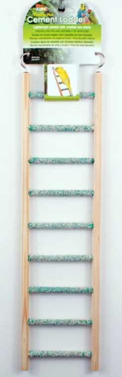 Sale Pet Pacific Misc. BirdLIFE - Cement Ladder (9 Step)