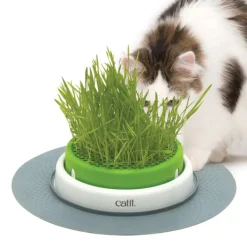 Best Pet Pacific Misc. Catit - Senses 2.0 Grass Planter