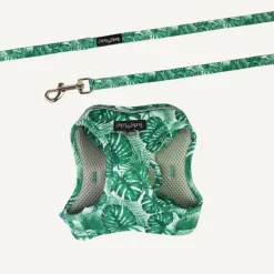 Discount Dan and Sam Dan & Sam - Cat Step-in Harness & Lead (Lahana) - Large