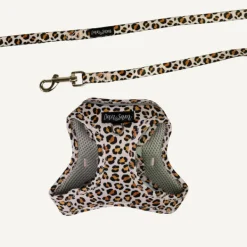 Online Dan and Sam Dan & Sam - Cat Step-in Harness & Lead (Wild One) - Large