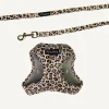 Best Dan and Sam Dan & Sam - Cat Step-in Harness & Lead (Wild One) - Small