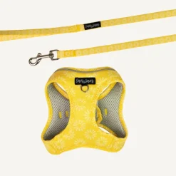 Online Dan and Sam Dan & Sam - Cat Step-in Harness & Lead (Wild Sunflower) - Small