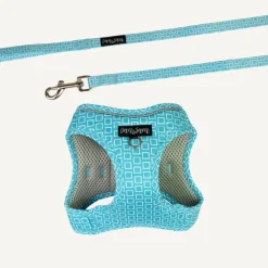 Fashion Dan and Sam Dan & Sam - Cat Step-in Harness & Lead (Grooving) - Large