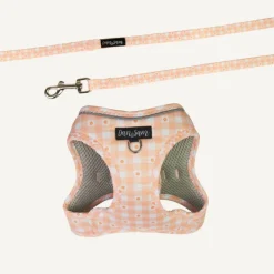 Fashion Dan and Sam Dan & Sam - Cat Step-in Harness & Lead (Daisy Picnic) - Large