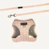Best Dan and Sam Dan & Sam - Cat Step-in Harness & Lead (Daisy Picnic) - Small