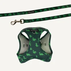 Best Dan and Sam Dan & Sam - Cat Step-in Harness & Lead (Dinosaur Land) - Small