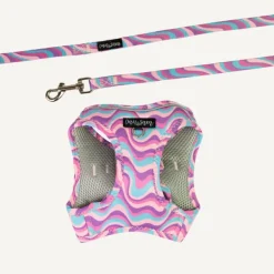 Fashion Dan and Sam Dan & Sam - Cat Step-in Harness & Lead (Disco Party) - Large