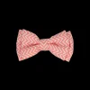 Discount Dan and Sam Dan & Sam - Dog Bowtie (Candy Floss)