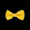 Outlet Dan and Sam Dan & Sam - Dog Bowtie (Wild Sunflower)