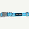 Online Dan and Sam Dan & Sam - Dog Collar (Coastal) - Small