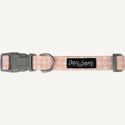 Online Dan and Sam Dan & Sam - Dog Collar (Daisy Picnic) - Medium