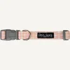 Sale Dan and Sam Dan & Sam - Dog Collar (Daisy Picnic) - Small