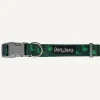 Online Dan and Sam Dan & Sam - Dog Collar (Dinosaur Land) - Medium