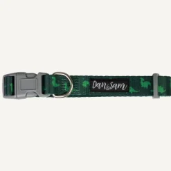 New Dan and Sam Dan & Sam - Dog Collar (Dinosaur Land) - Small