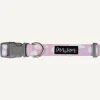 Fashion Dan and Sam Dan & Sam - Dog Collar (Dreamer) - Large