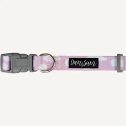 New Dan and Sam Dan & Sam - Dog Collar (Dreamer) - Small