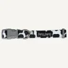 Fashion Dan and Sam Dan & Sam - Dog Collar (Milkshake) - Large