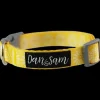 Discount Dan and Sam Dan & Sam - Dog Collar (Wild Sunflower)