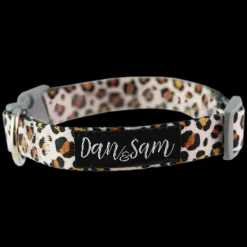 Fashion Dan and Sam Dan & Sam - Dog Collar (Wild One)