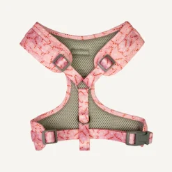 Outlet Dan and Sam Dan & Sam - Dog Harness (Candy Cane Kisses) - Large