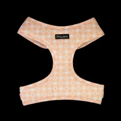 Discount Dan and Sam Dan & Sam - Dog Harness (Daisy Picnic) - X-Small