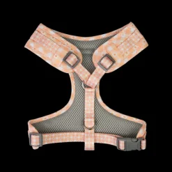 Fashion Dan and Sam Dan & Sam - Dog Harness (Daisy Picnic) - Large