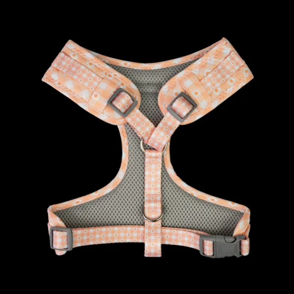 New Dan and Sam Dan & Sam - Dog Harness (Daisy Picnic) - Small