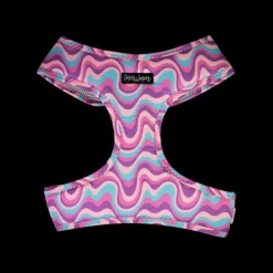 Discount Dan and Sam Dan & Sam - Dog Harness (Disco Party) - Small