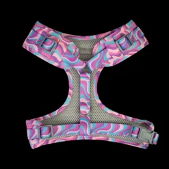 New Dan and Sam Dan & Sam - Dog Harness (Disco Party) - Medium