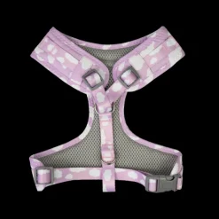 Online Dan and Sam Dan & Sam - Dog Harness (Dreamer) - X-Small