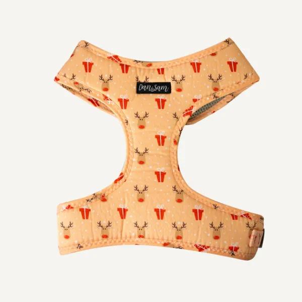 Discount Dan and Sam Dan & Sam - Dog Harness (Love You Deerly) - X-Small