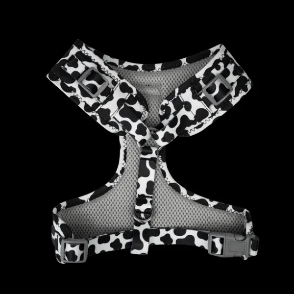 Clearance Dan and Sam Dan & Sam - Dog Harness (Milkshake) - Medium