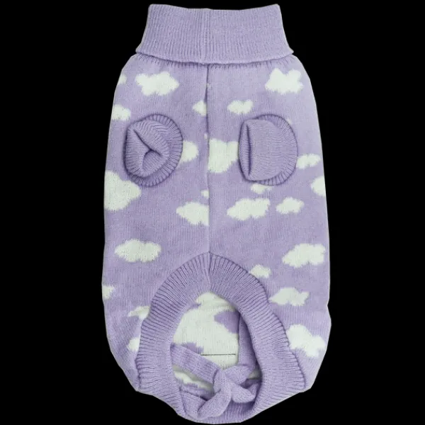 Fashion Dan and Sam Dan & Sam - Dog Jumper (Dreamer) - 35cm