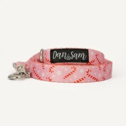 Online Dan and Sam Dan & Sam - Dog Lead (Candy Cane Kisses) - Large