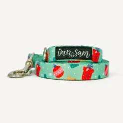 Discount Dan and Sam Dan & Sam - Dog Lead (Christmas Wishes) - Small