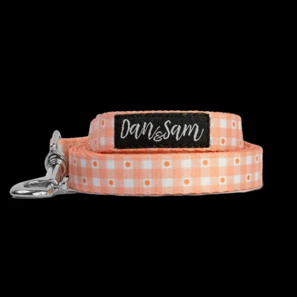 Sale Dan and Sam Dan & Sam - Dog Lead (Daisy Picnic) - Small