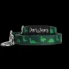 Fashion Dan and Sam Dan & Sam - Dog Lead (Dinosaur Land) - Small